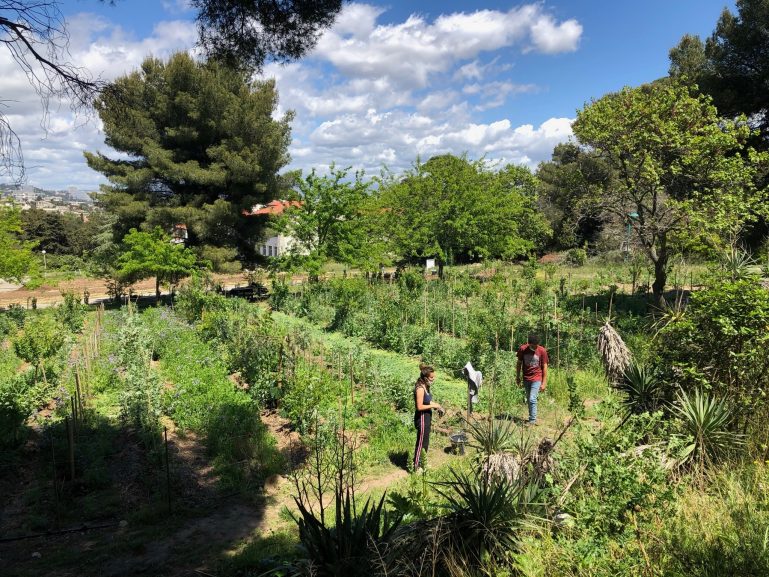 Marseille : la ferme des Calanques va faire bouillonner l’agriculture urbaine